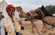 Jaipur to Ajmer and Pushkar Full-Day Excursion