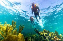 Private Boat Ride & Snorkeling Tour In Puerto Morelos 