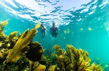 Private Boat Ride & Snorkeling Tour In Puerto Morelos 