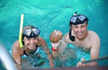 Isla Catalina All Inclusive Snorkel and Beach Day from Punta Cana
