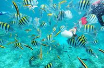 Isla Catalina All Inclusive Snorkel and Beach Day from Punta Cana