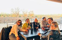 Many Tastings in 3 Wineries and 1 Olive Tree