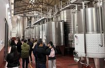 Many Tastings in 3 Wineries and 1 Olive Tree