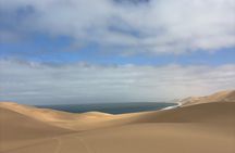 Walvis Bay Sandwich Harbour Half-Day 4x4 Tour