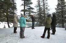 Transformative Winter Experiences in the Canadian Rockies