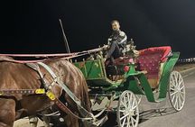 Private Horse Carriage Tour of Marrakech with Hamada