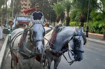 Private Horse Carriage Tour of Marrakech with Hamada
