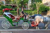 Private Horse Carriage Tour of Marrakech with Hamada