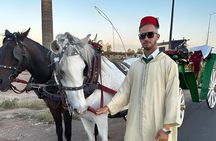 Private Horse Carriage Tour of Marrakech with Hamada