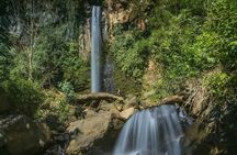 Eco Adventure Exclusive Day Pass in Guanacaste