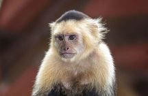 Eco Adventure Exclusive Day Pass in Guanacaste