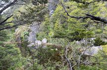 Hiking Viewpoints Glacier Explorers