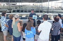 Abalone Farm Tour