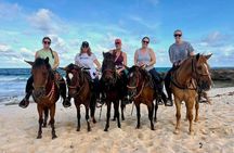  Shore Excursion Aruba’s Ecological and Beach Horseback Riding 