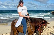  Shore Excursion Aruba’s Ecological and Beach Horseback Riding 