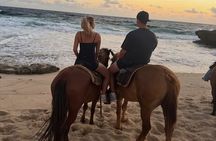  Shore Excursion Aruba’s Ecological and Beach Horseback Riding 