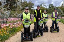 Kings Park and Blue Boat House Segway Tour