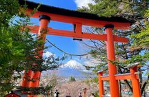 Spectacular Mt. Fuji and Lake Cruise, Noodles Making Experience