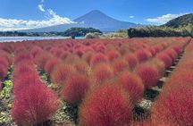Spectacular Mt. Fuji and Lake Cruise, Noodles Making Experience