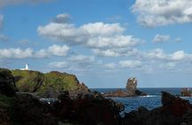 Jeju island: Van tour with a guide who the most loves JEJU