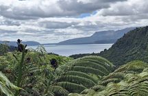 Nature at its best Lake Tarawera Treetop Walk and Forest Spas