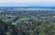 The Big Bay Tour with Te Puna Sculpture garden and Minden Views