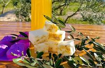 Olive Oil Workshop with E Bike Adventure in Dubrovnik