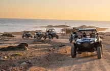 Oman Discovery by Buggy