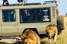 Nairobi National Park Half-Day Game Drive Guided Tour