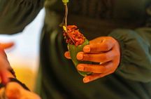 Turkish Cooking Class in Istanbul with a Local Host