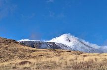 Etna and Taormina private tour