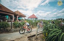 Bike And Craft Beer Brewery Mekong Delta Cycling Tour