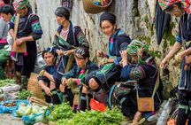 [Private] Sapa, Bac Ha & Hoang Su Phi - 5 days 4 nights
