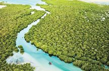 North Qatar Tour: Al Zubarah Fort, Purple Island & Mangroves