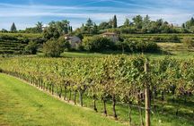 From Verona: Half-Day Valpolicella & Amarone Wine Experience