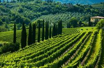 From Verona: Half-Day Valpolicella & Amarone Wine Experience