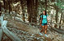 Kefalonia: 4x4 Mount Ainos & Omala Valley Premium Van Adventure