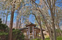 Nami island and Hanbok Wearing and Waterfall from Seoul