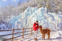 Alpaca, Nami, Eobi with Rail Bike or Strawberry