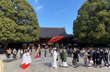 Tokyo 4h All-inclusive Private Tour with Haneda Transfer