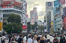 Tokyo 4h All-inclusive Private Tour with Haneda Transfer