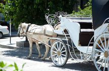 Gyumri: Private City Tour