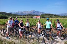 Korcula Bike & Wine Tour | Wine Tasting in Lumbarda
