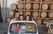 Pisa, San Gimignano & Chianti Day Trip with Lunch & Wine Tasting