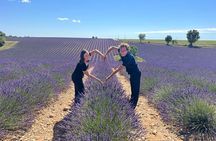 Provence Lavender Fields Tour from Aix-en-Provence
