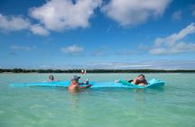 Island Sandbar Tour Catamaran Cruise in Marathon FL