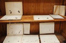 Sofia Highlights Walking Tour with a Visit to the Old Observatory