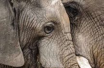 2 Day Tarangire and Ngorongoro Safari