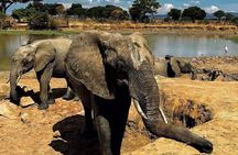 2 Day Tarangire and Ngorongoro Safari