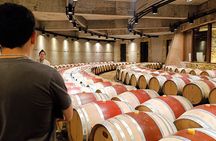 Almuerzo Gourmet & Blending Game en Catena Zapata